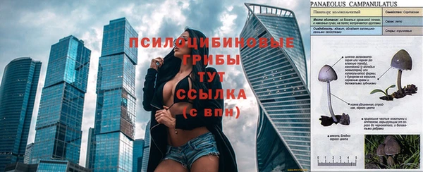 амф Козельск