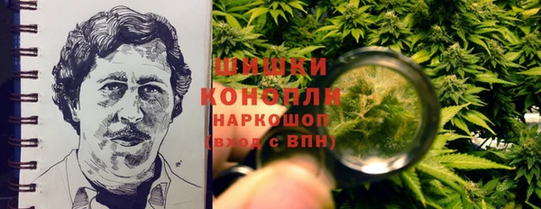 амф Козельск