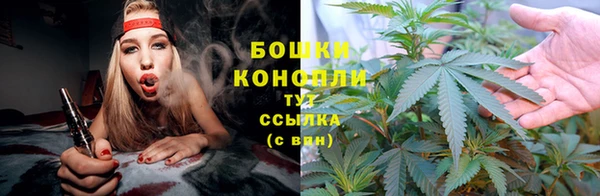 амф Козельск