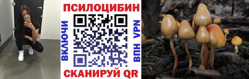 Галлюциногенные грибы Cubensis  Киренск 