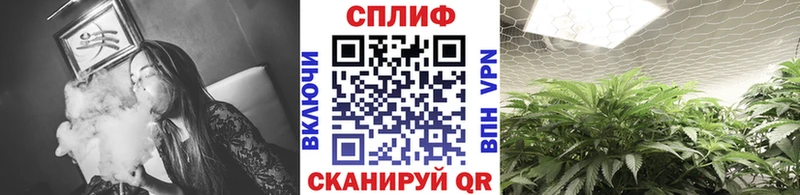 Марихуана тримм  Киренск 
